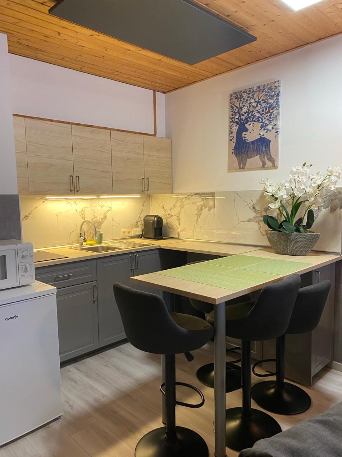 Cosy Apartment Tauplitz Εξωτερικό φωτογραφία