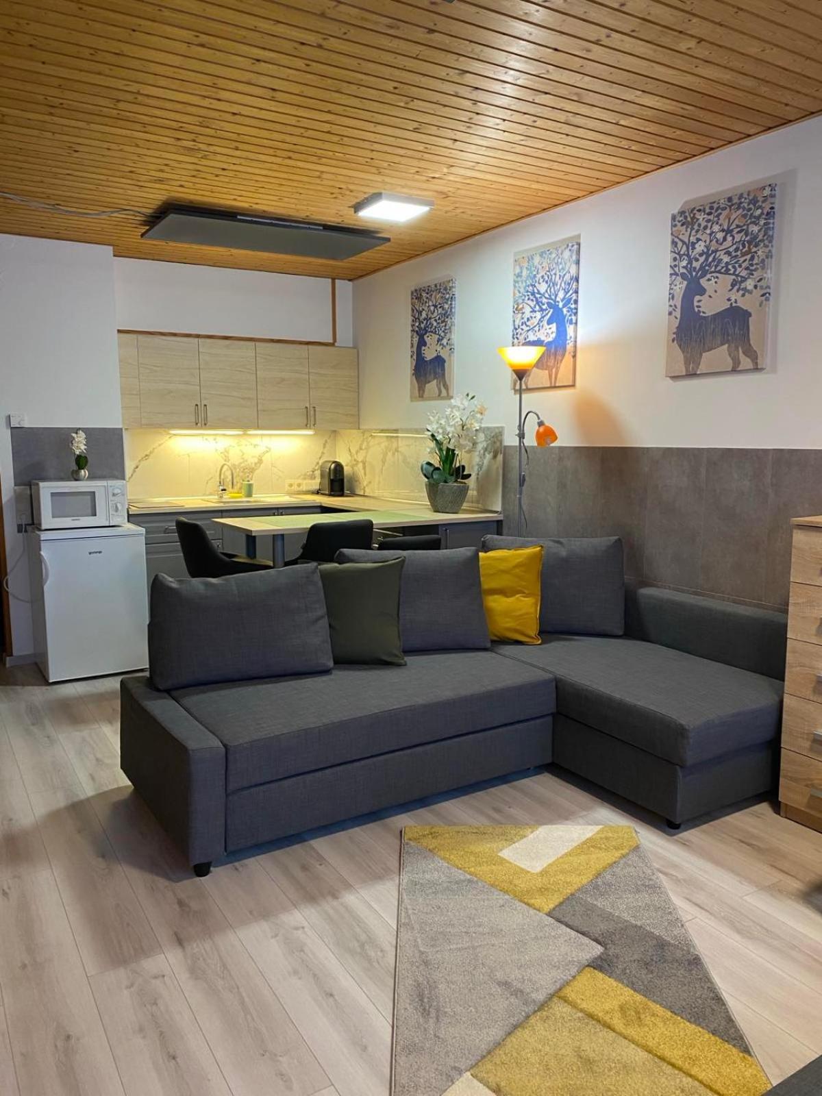 Cosy Apartment Tauplitz Εξωτερικό φωτογραφία